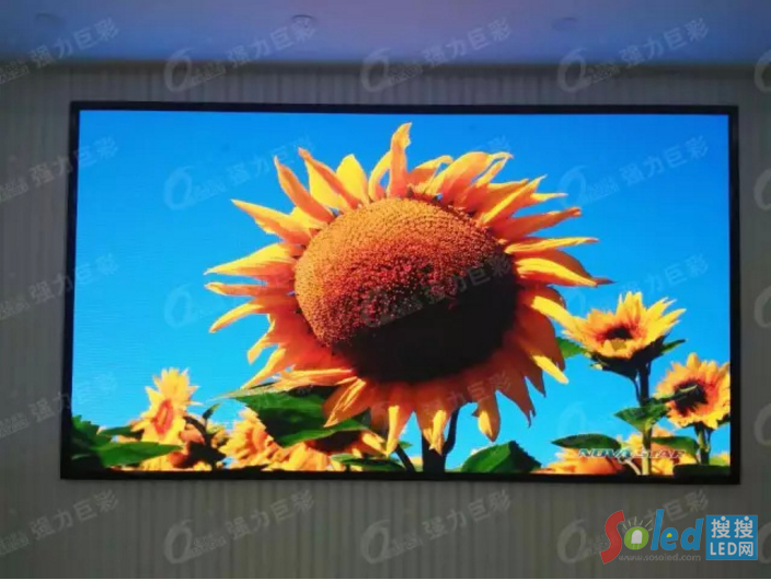 ��(qi��ng)���޲�